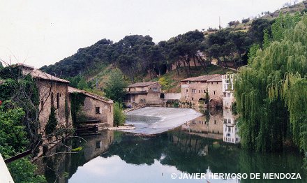 Presa de Curtidores