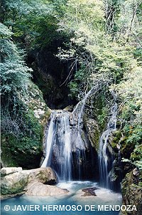 Nacedero del ro Urederra