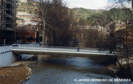 Vista del puente.